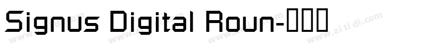 Signus Digital Roun字体转换